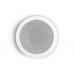 Amate Audio CS6FR